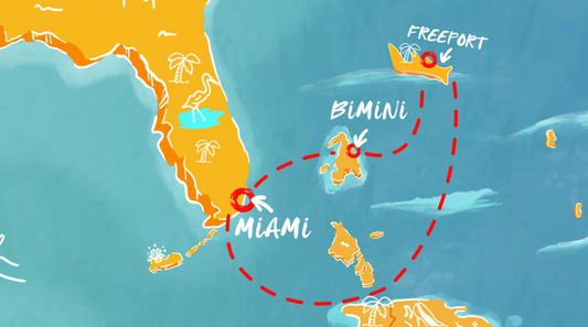 WEGO Live "MEET ME IN MIAMI" Virgin Voyages Registration